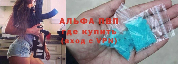 PSILOCYBIN Майский