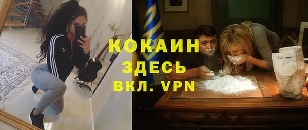 хмурый Алексин