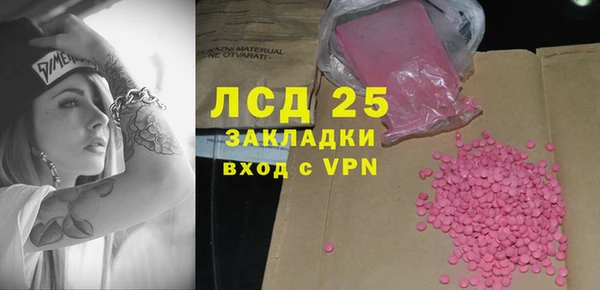 PSILOCYBIN Майский