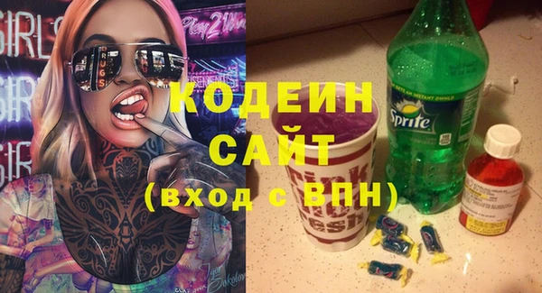 хмурый Алексин