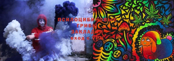 гидропоника Алзамай