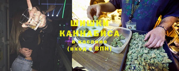 хмурый Алексин