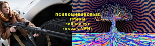 хмурый Алексин