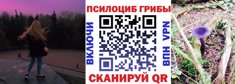 Галлюциногенные грибы прущие грибы  гидра ссылки  Вихоревка  цены наркотик 